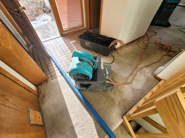 Best Water damage restoration near me  in Newington Forest, VA