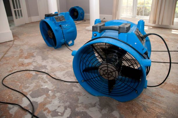 Best Ceiling water damage repair  in Newington Forest, VA